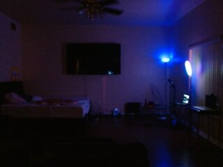 Raydolls Voyeur Fetish