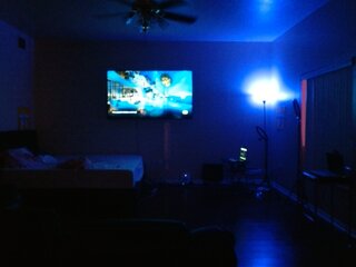 Raydolls Voyeur Fetish