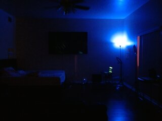 Raydolls Voyeur Fetish