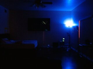 Raydolls Voyeur Fetish