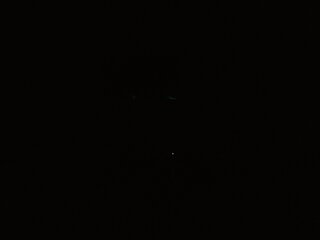 Raydolls Voyeur Fetish